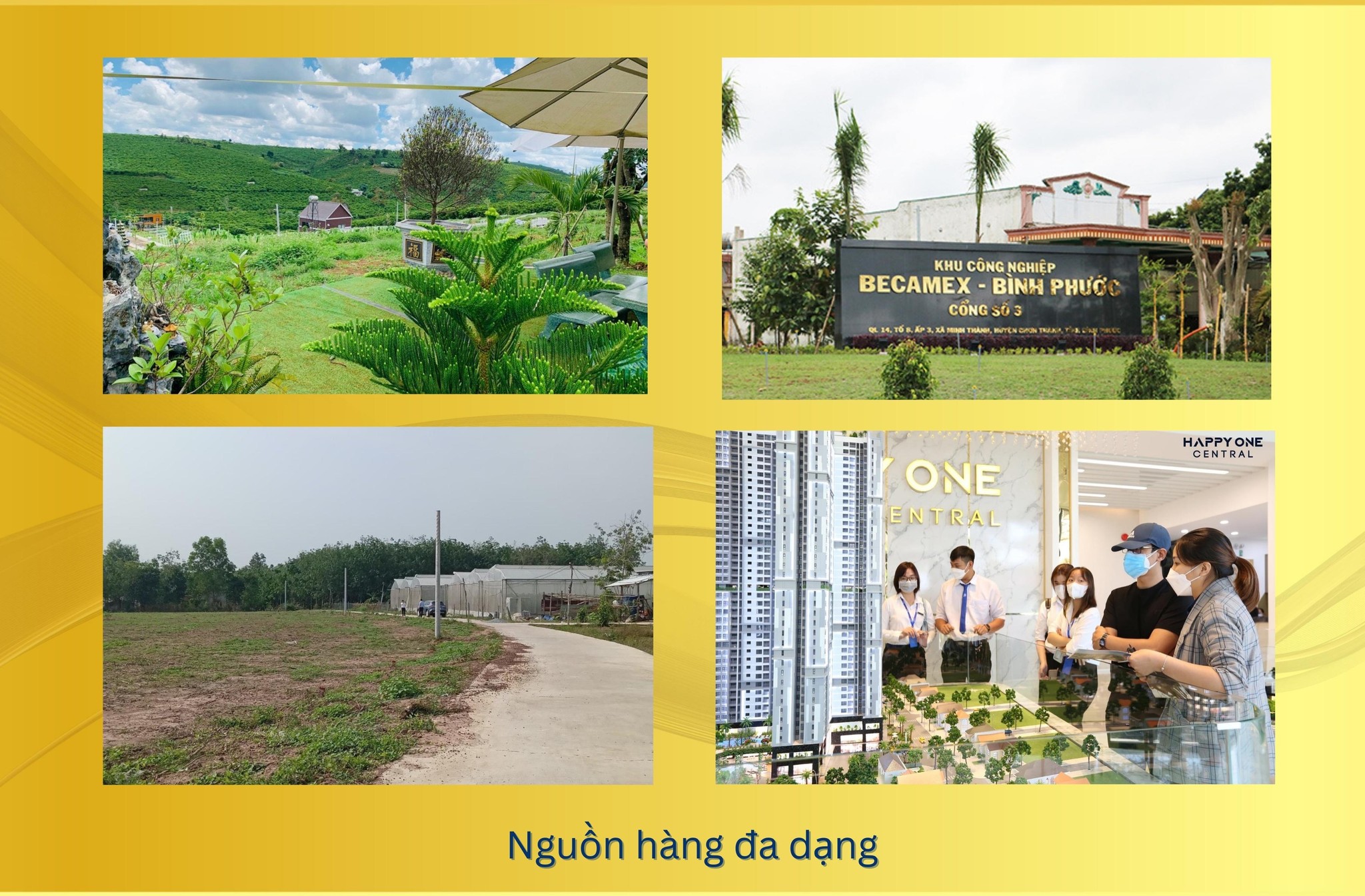 lĩnh vực hoạt động